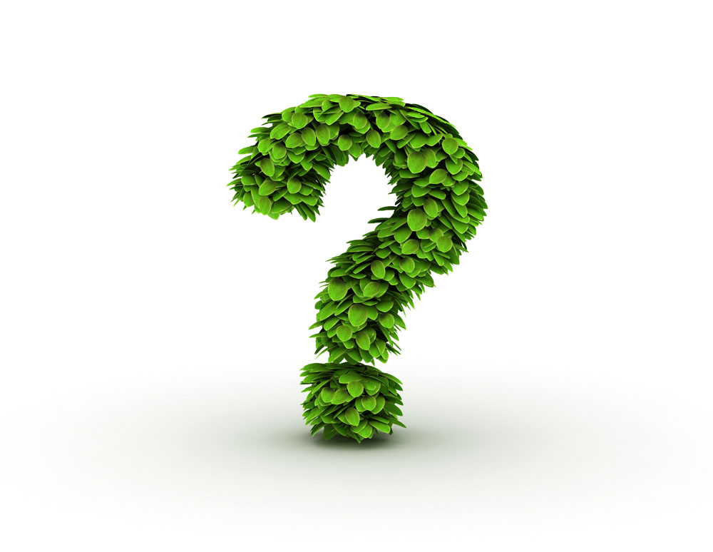 “臨沂之爭”下企業(yè)到底欠缺什么？